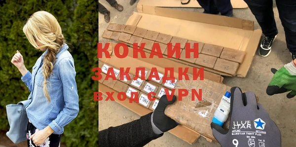 соль ск Нея