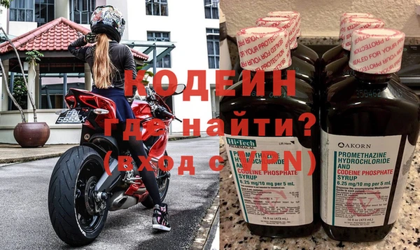 дмт Бикин